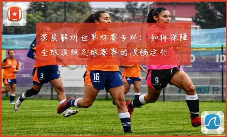深度解析世界杯赛专环：如何保障全球顶级足球赛事的顺畅运行